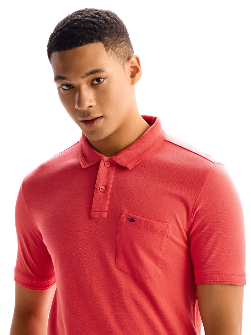 Dark Pink Regular Fit Pure Cotton Polo T-Shirt